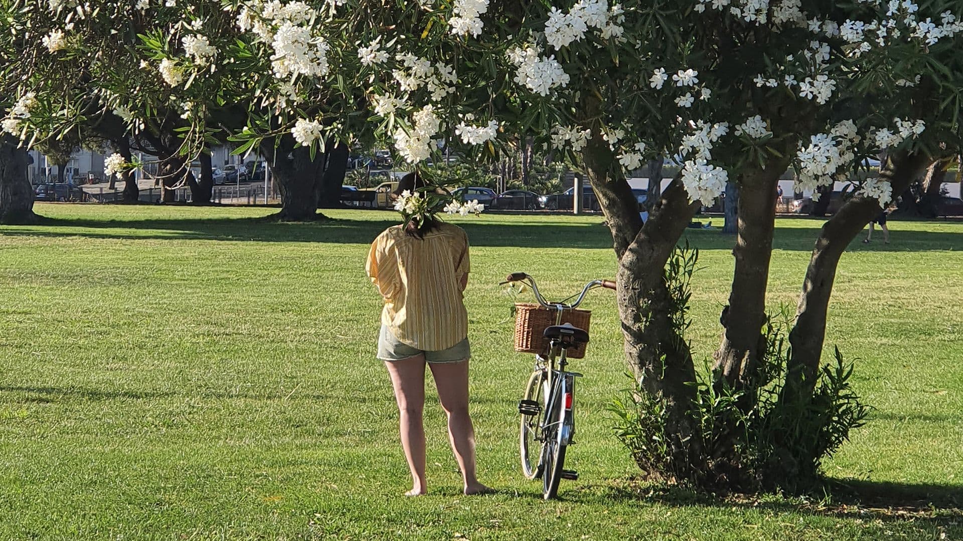 The Best Bike Itineraries In Lisbon